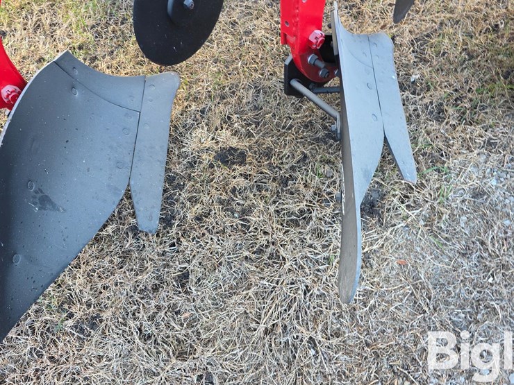 international-70-image-20