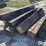 treated-wood-timbers-image-1