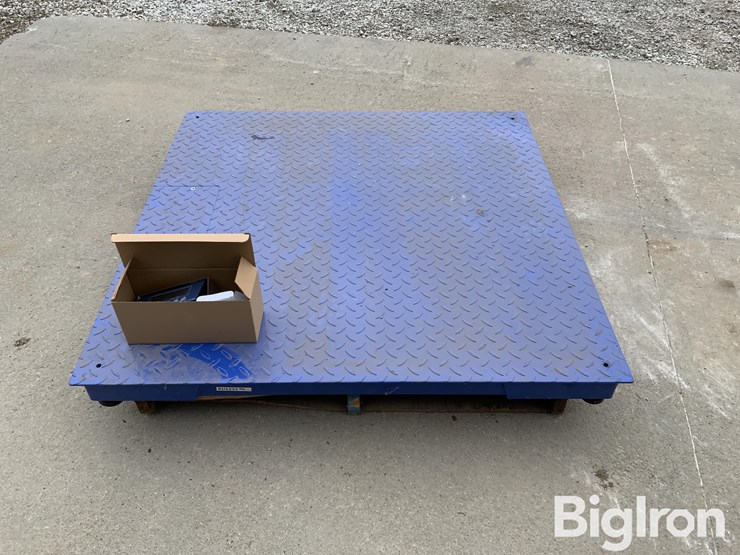 my-scale-fw-class-iii-certified-scale-image-2