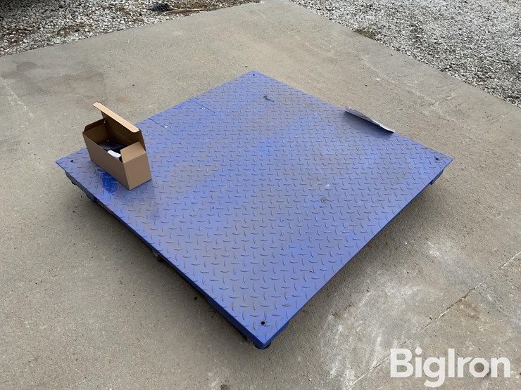 my-scale-fw-class-iii-certified-scale-image-1