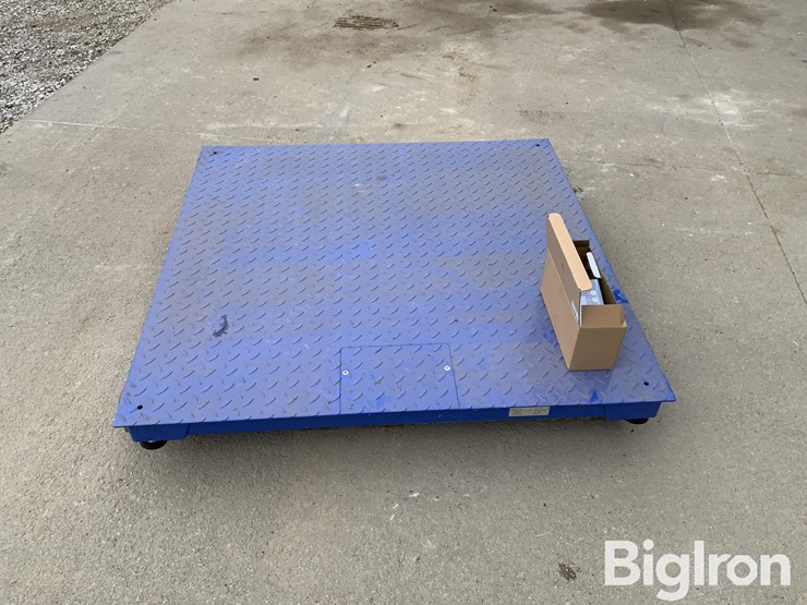 my-scale-fw-class-iii-certified-scale-image-4