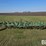john-deere-eco11-field-cultivator-image-2