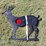 new-future-steel-deer-shaped-target-image-1