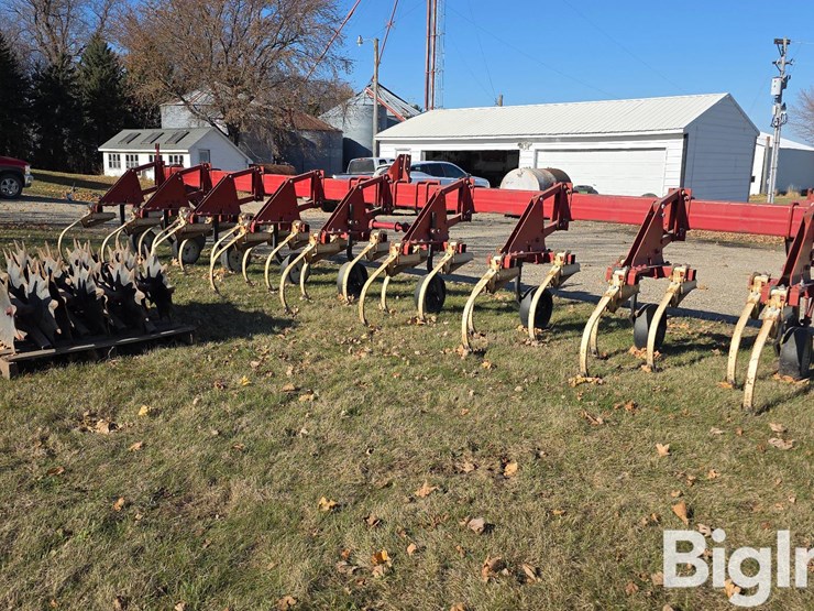 international-133-image-5