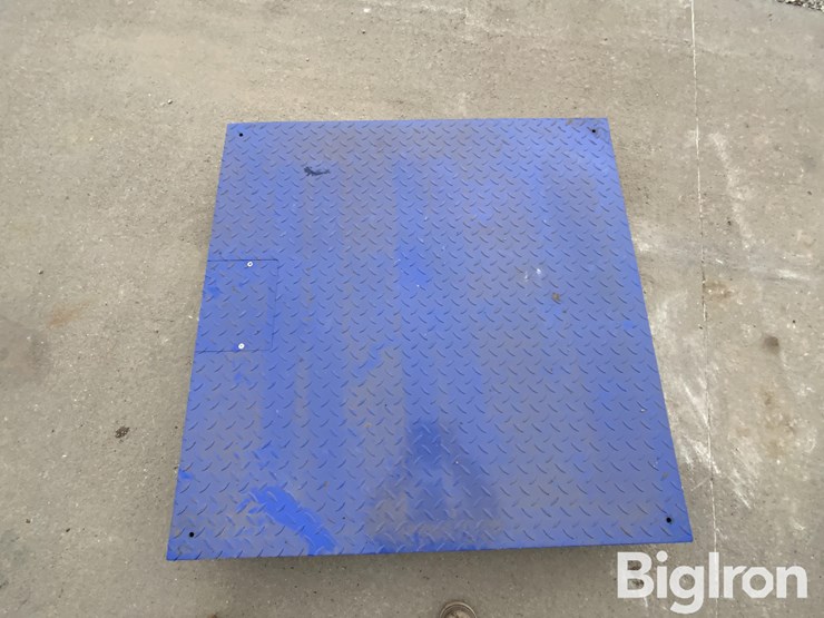 my-scale-fw-class-iii-certified-scale-image-9