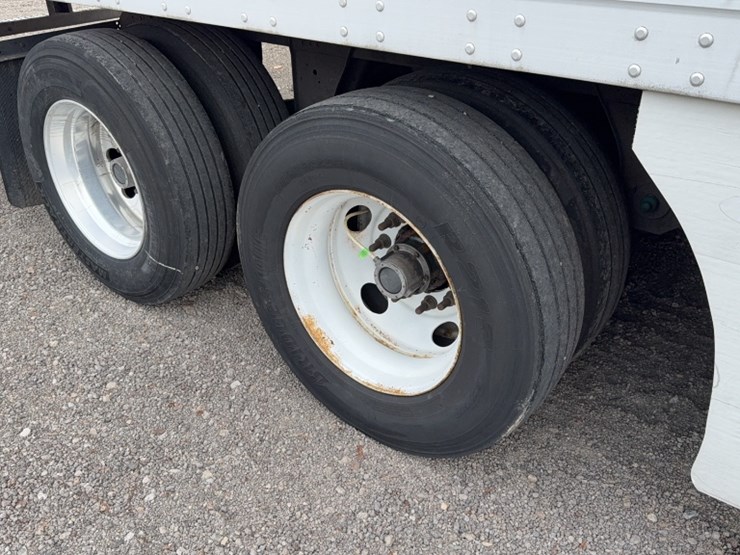 2019-great-dane-champion-image-5