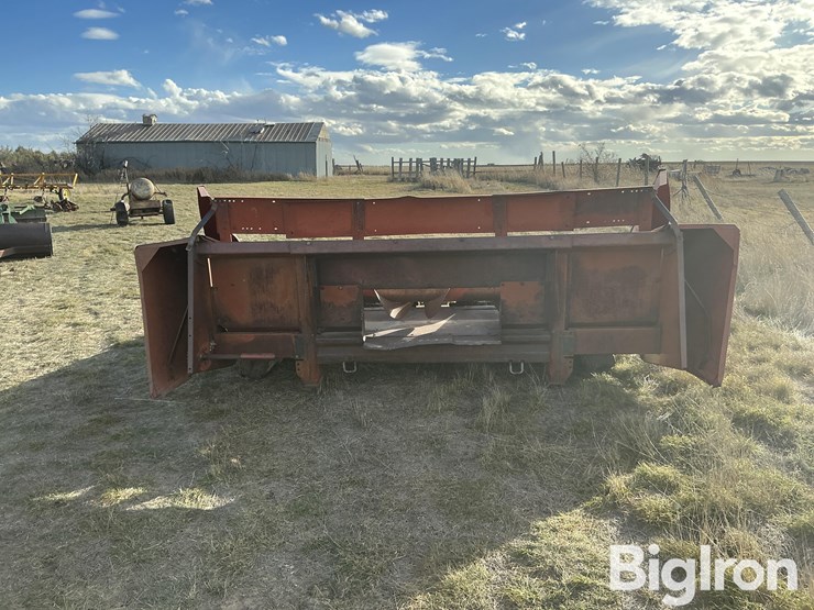 international-843-image-6