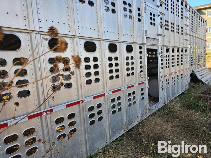 2003-wilson-livestock-image-15