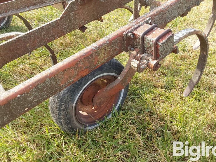 international-55-image-18