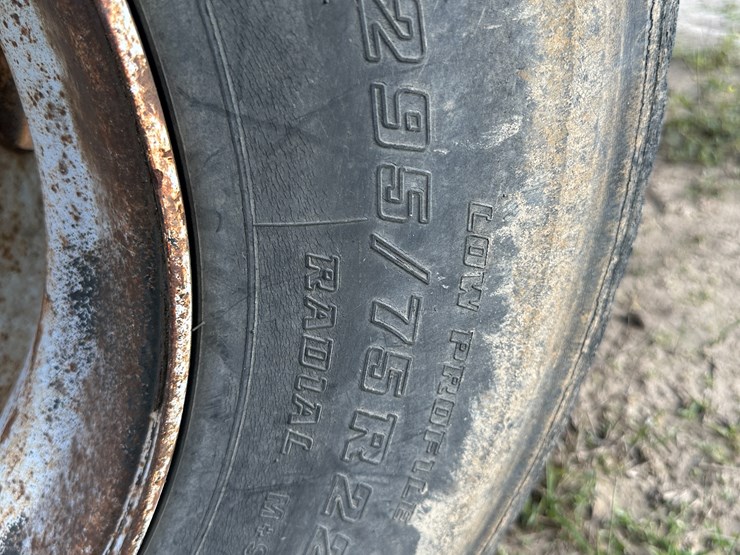 great-dane-48-image-5