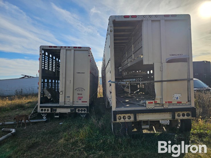 2003-wilson-livestock-image-6