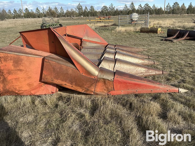 international-843-image-4