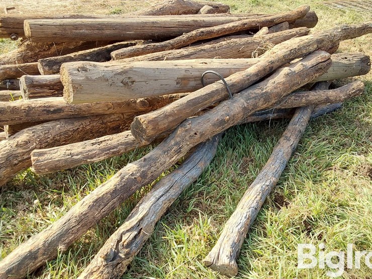 hedge-posts-image-14