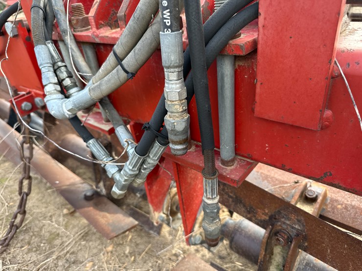 wil-rich-1403-image-46