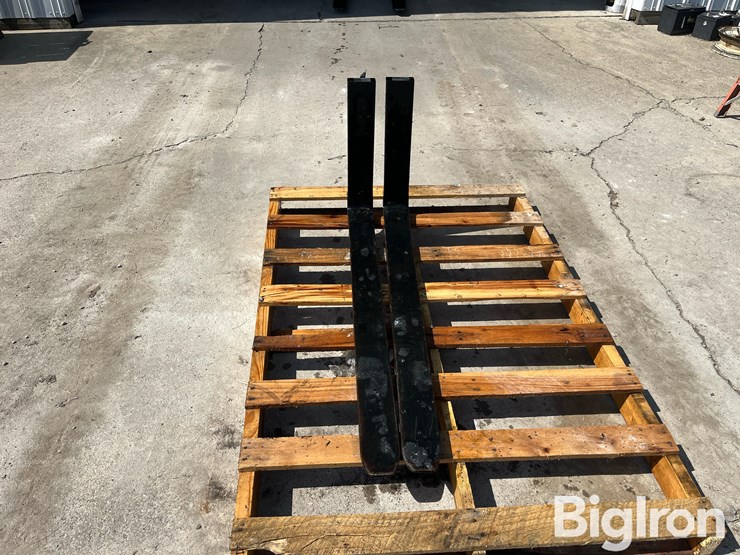 bolzoni-48”-forks-image-2