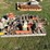 misc-pallet-of-gasoline-stihl-tools-image-2