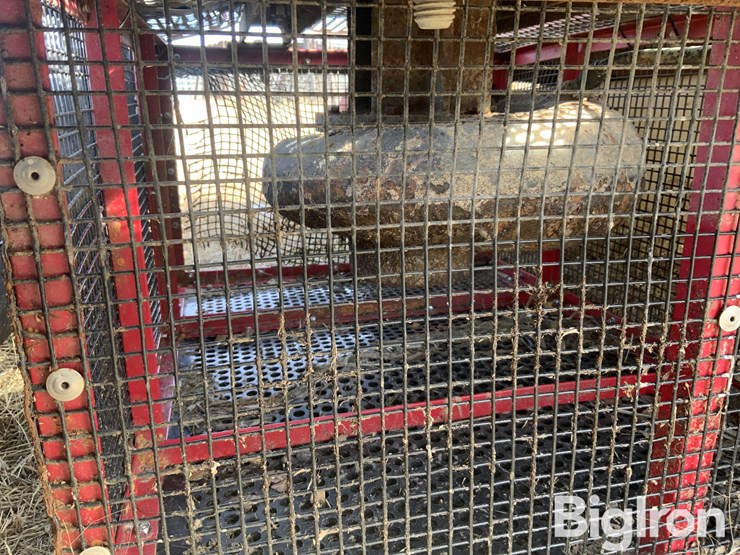 dobbs-floating-pump-image-10