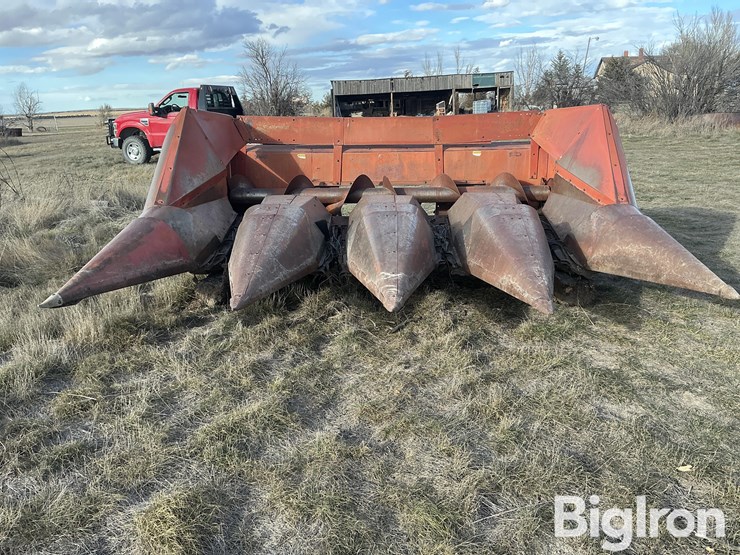 international-843-image-2