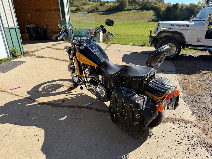 #1738-•-2001-hd-dynawide-glide-bumble-bee-edition-(wi-title-in-delay)-(black-river-falls,-wi)-image-6