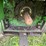 john-deere-4010-image-24