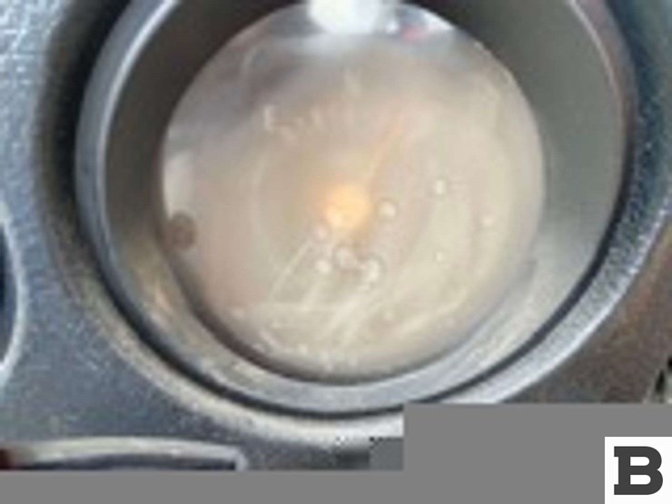 1977-chevrolet-scottsdale-10-pickup-image-27