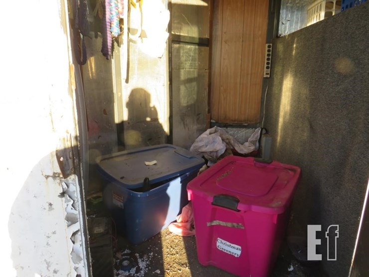 1994-diamond-d-image-2