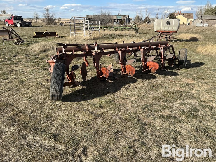 international-5-image-5