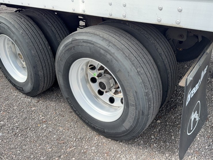 2019-great-dane-champion-image-9