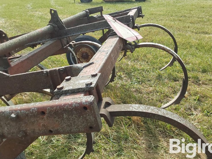 international-55-image-15