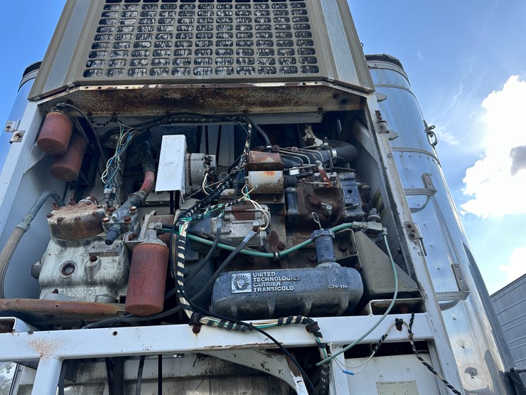 great-dane-48-image-39