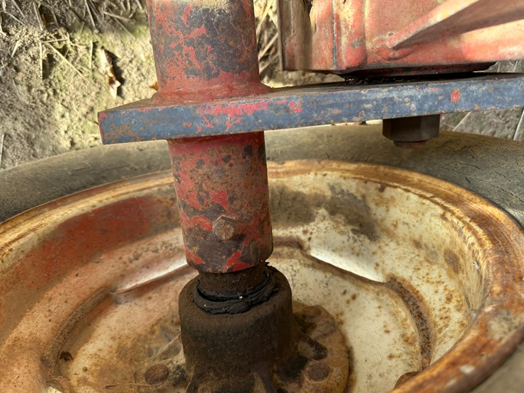 sunflower-6332-26-image-7