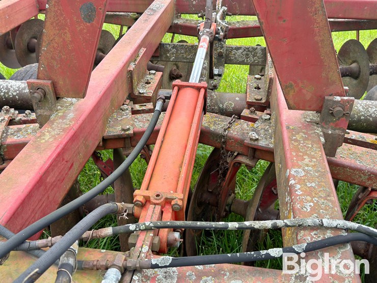 international-490-image-17