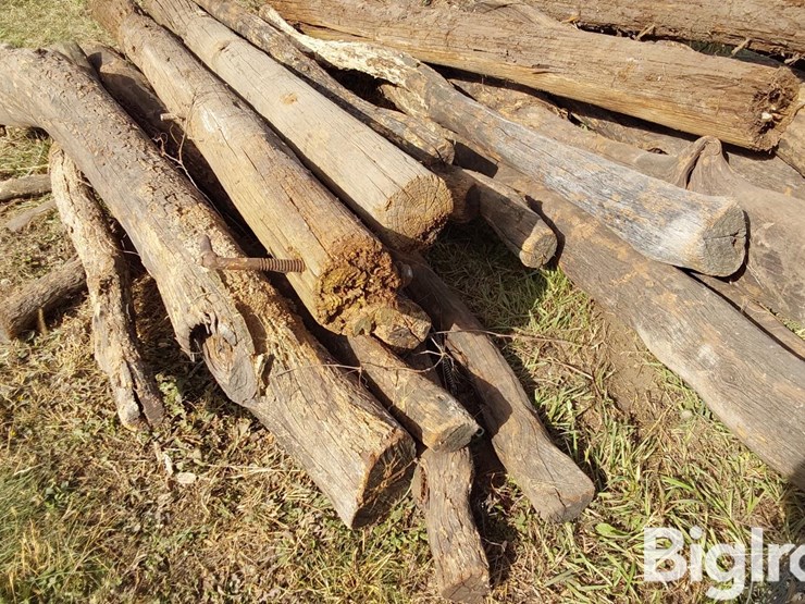 hedge-posts-image-10