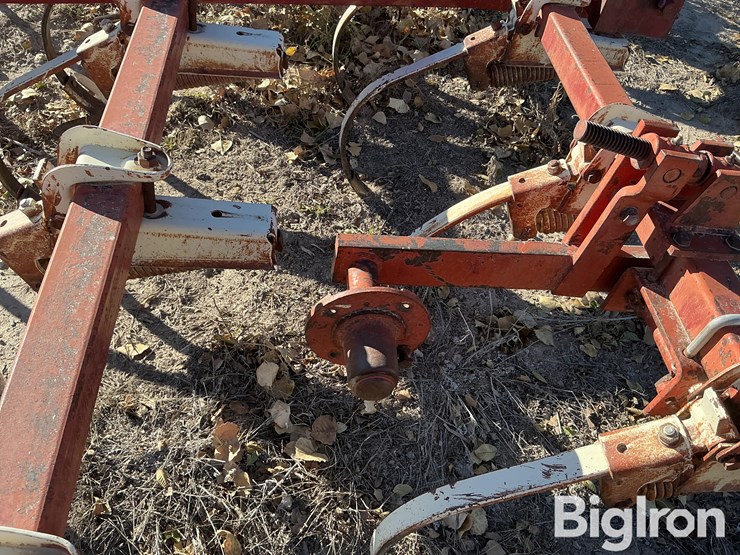 international-13-image-9