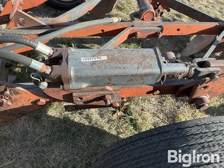 international-5-image-14