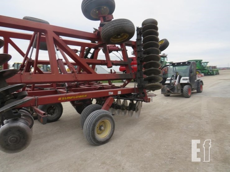 sunflower-1434-image-7