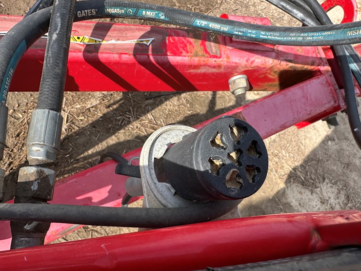 sunflower-1435-image-47