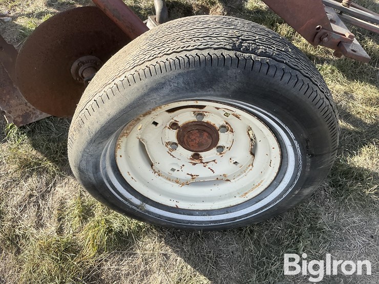 international-5-image-19