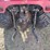 case-ih-dx25e-image-5