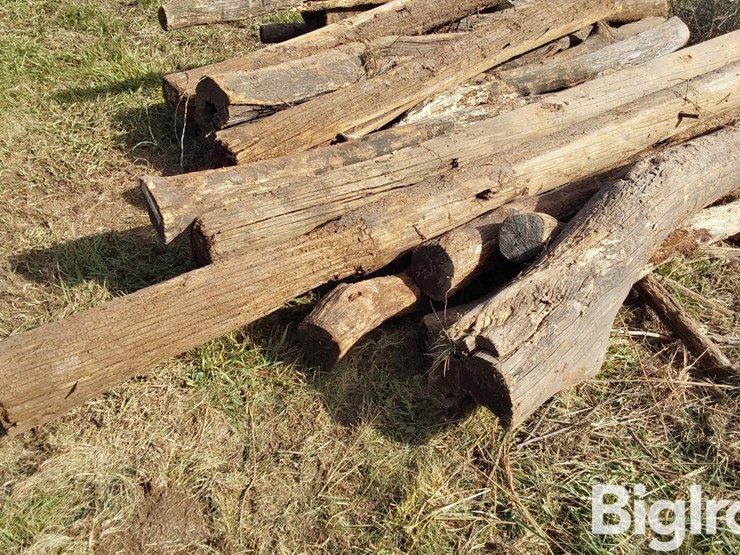 hedge-posts-image-12