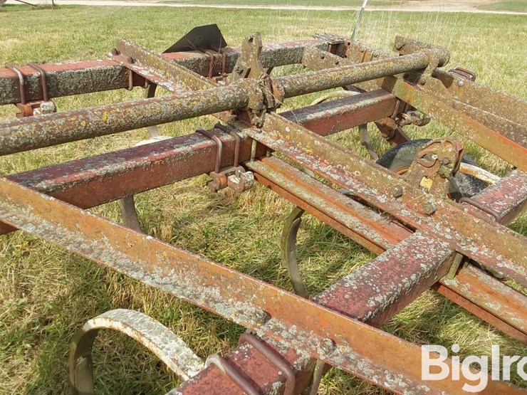 international-55-image-11