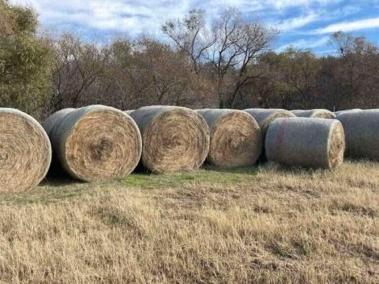 crabgrass-mix-some-stickers-round-bales-image-1