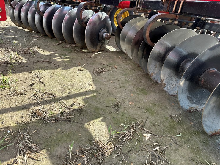 sunflower-1435-image-32