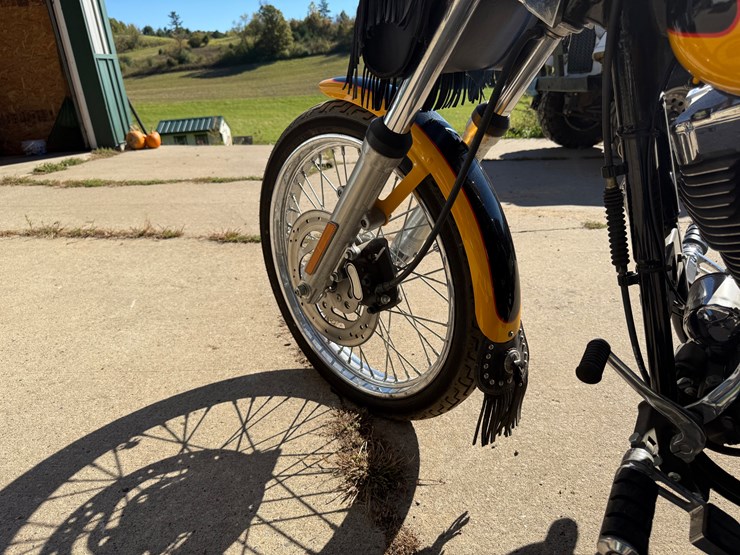 #1738-•-2001-hd-dynawide-glide-bumble-bee-edition-(wi-title-in-delay)-(black-river-falls,-wi)-image-19