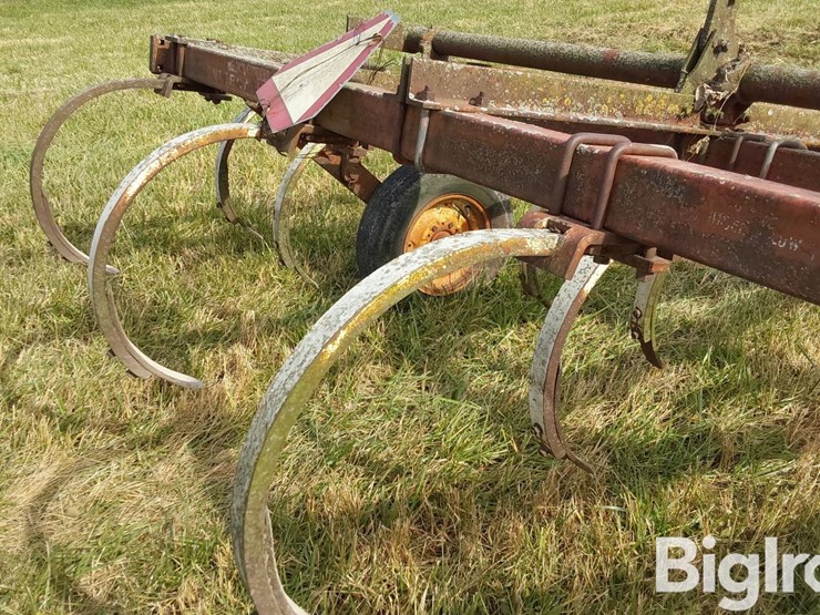 international-55-image-13