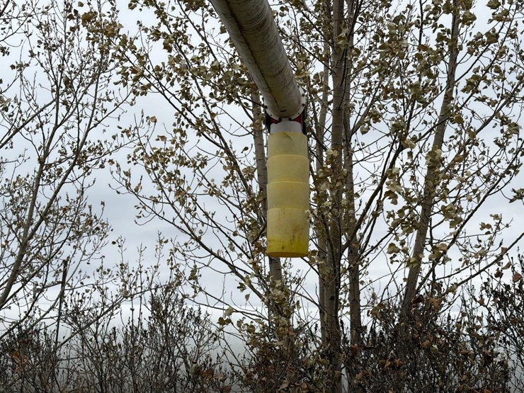 feterl-w1292-auger-image-5