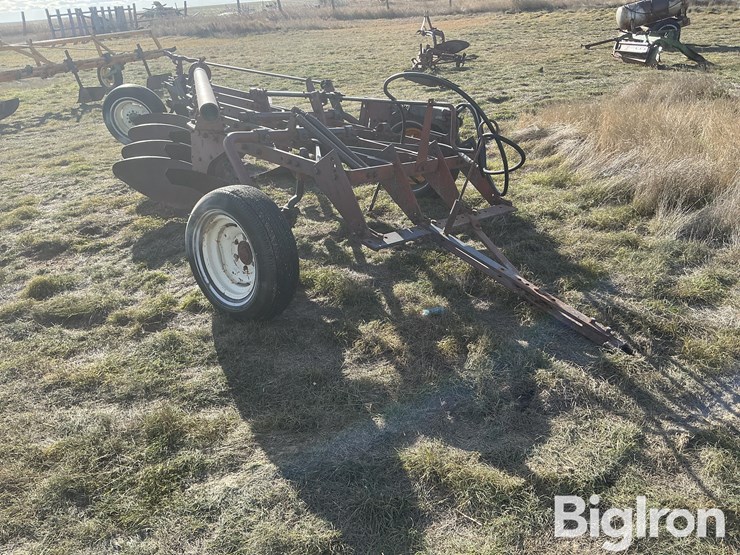 international-5-image-3