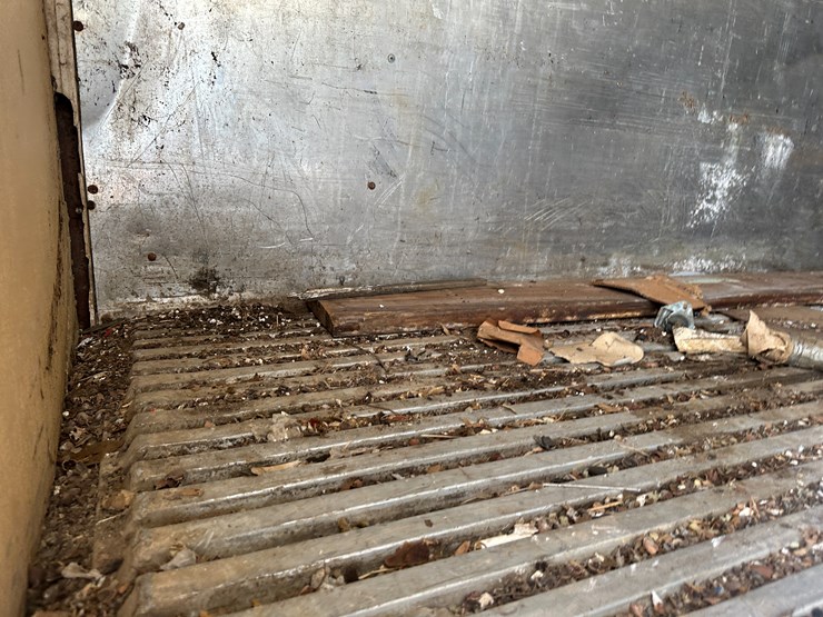 great-dane-48-image-35