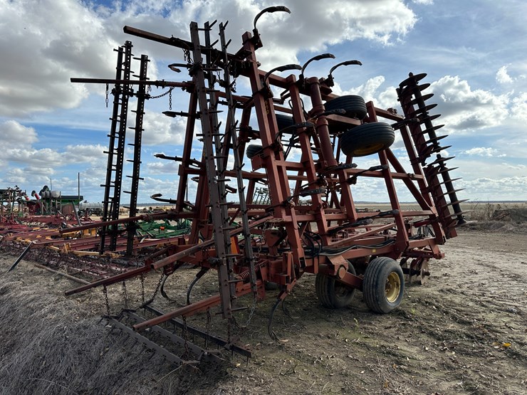 sunflower-6332-26-image-3