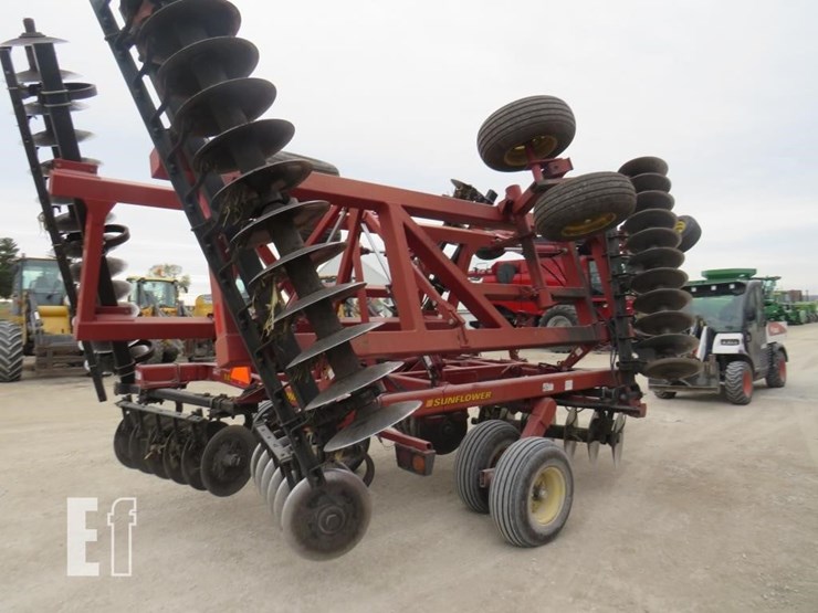 sunflower-1434-image-6